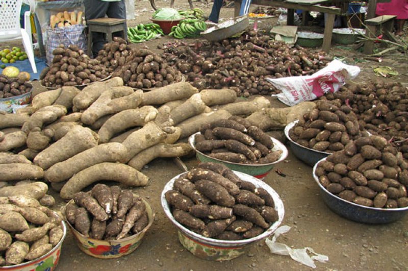yam on sale